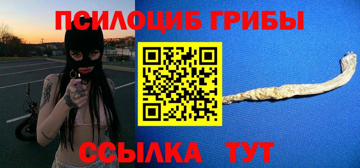 Копейск  Галлюциногенные грибы мицелий  Вход с VPN 