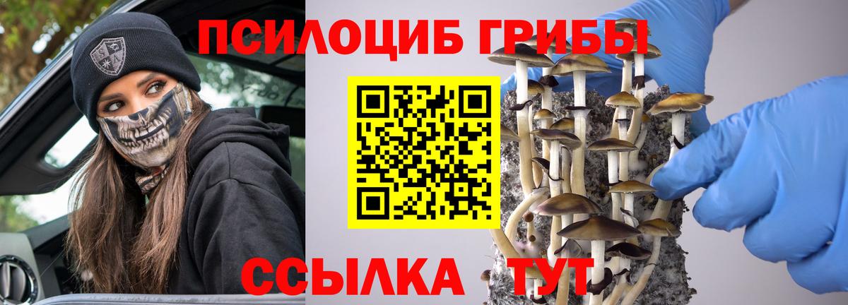 Галлюциногенные грибы прущие грибы Копейск